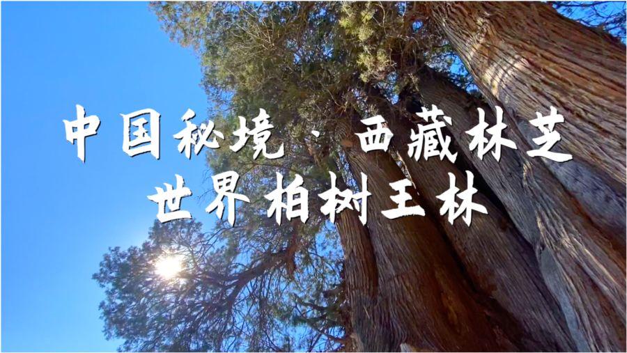 “华润健康乡村”公益项目助力乡村振兴